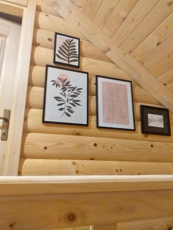 Rustic House Villa Kolasin Bagian luar foto
