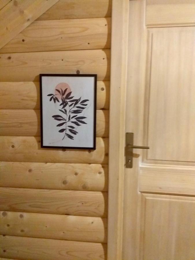 Rustic House Villa Kolasin Bagian luar foto